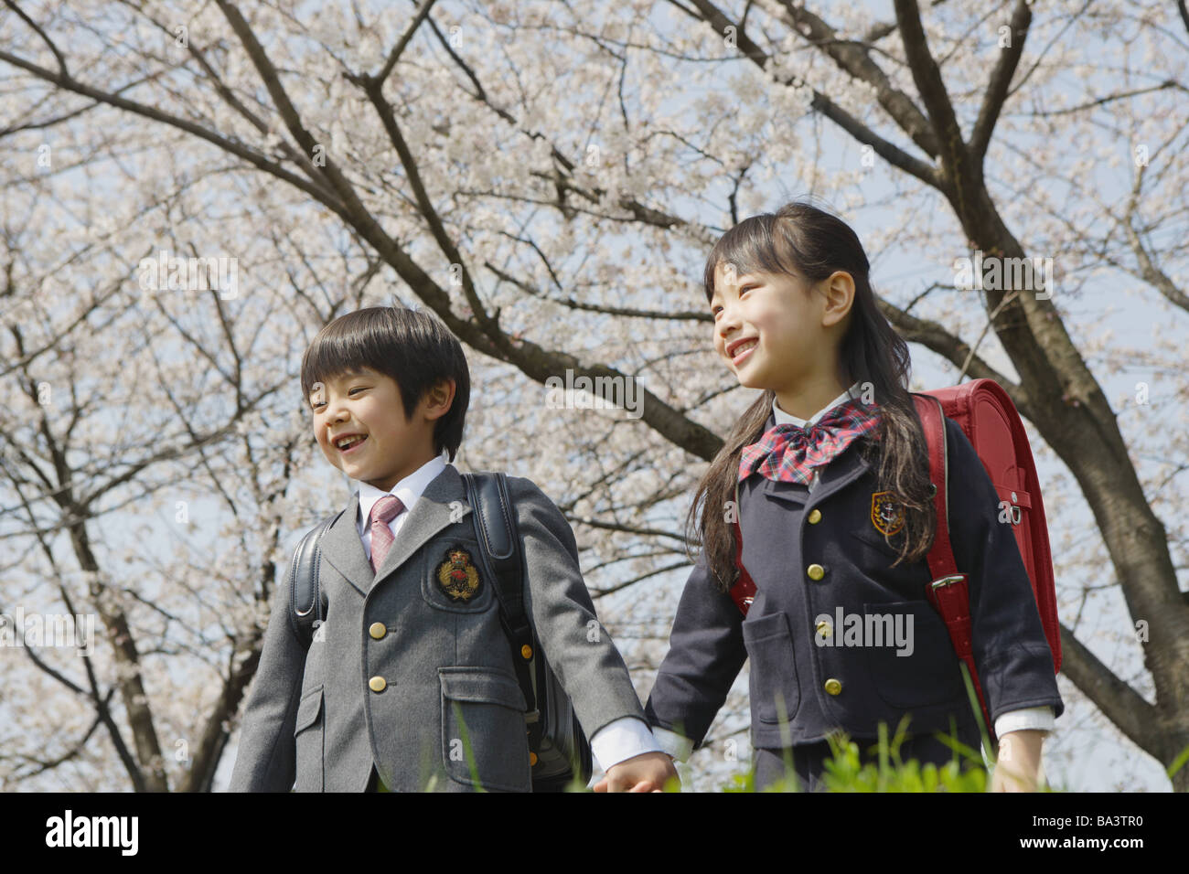 Schoolmate holding hands and going to school Stock Photo - Alamy