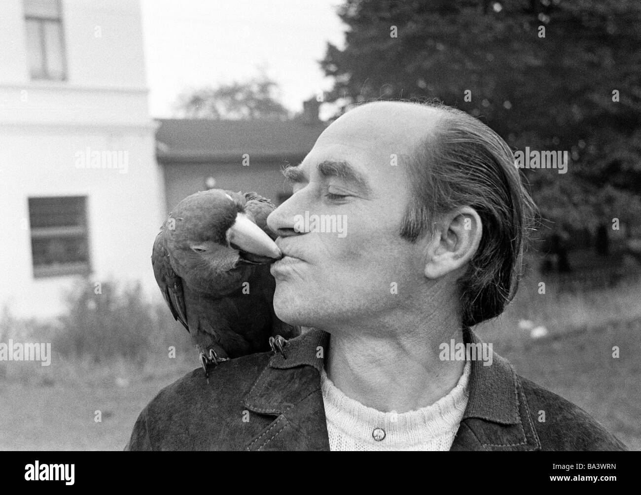 Seventies, black and white photo, human and animal, man will be kissed by a parrot, aged 40 to 50 years, Psittaciformes Stock Photo