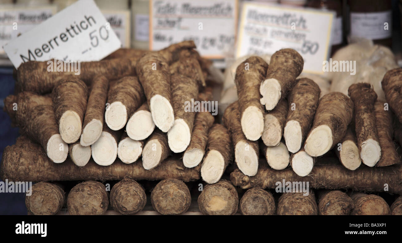 Weekmarket marketstand sale horseradish market horseradishroots roots poles harvestnewly