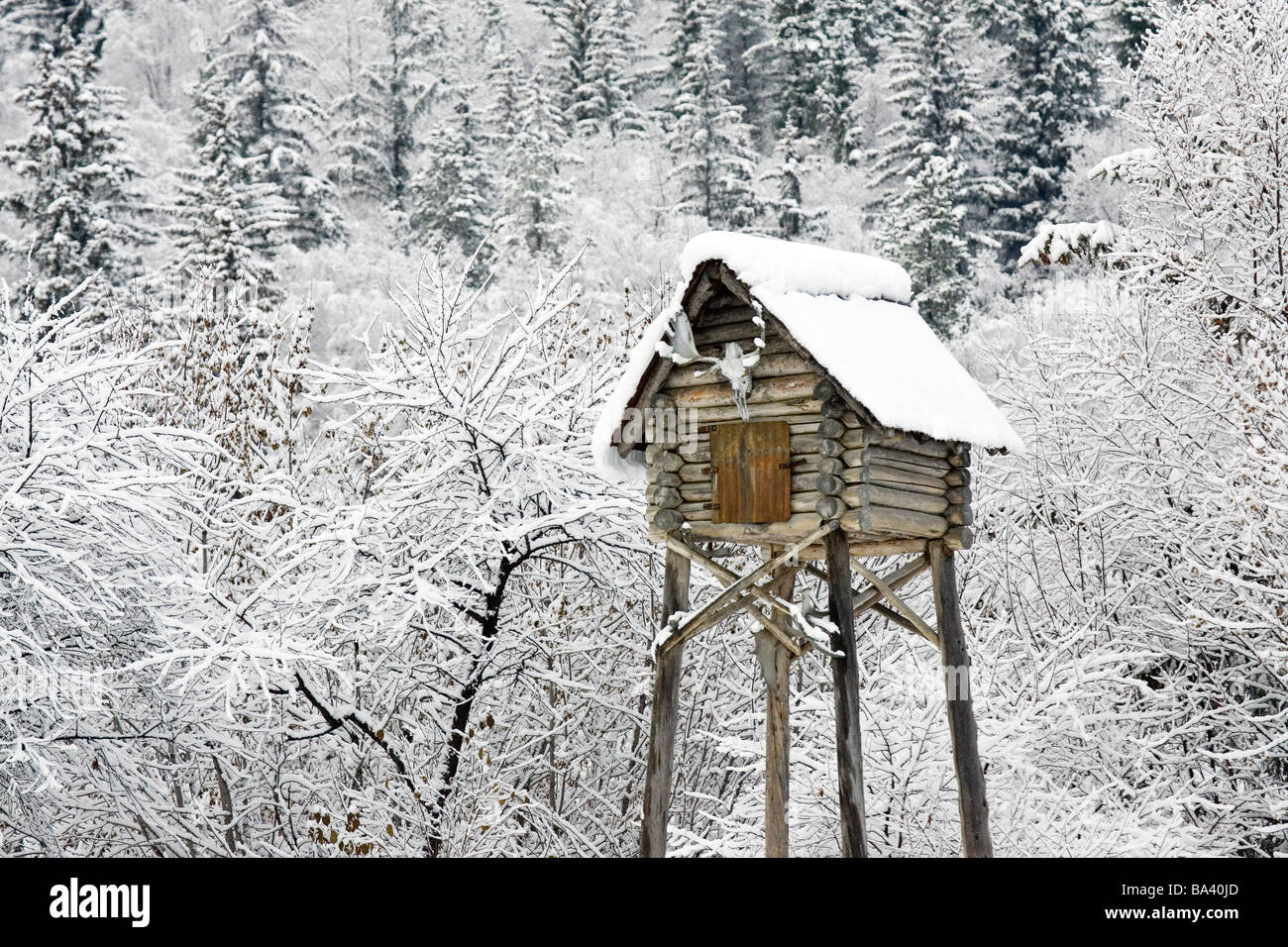 Snow covered cache near Porcupine Crossing outside Haines Alaska ...