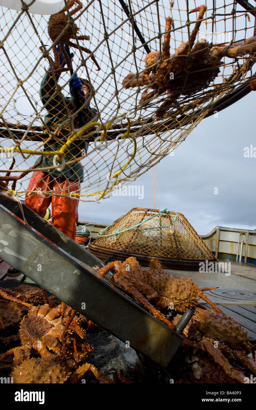 Fishing crab hires stock photography and images Alamy