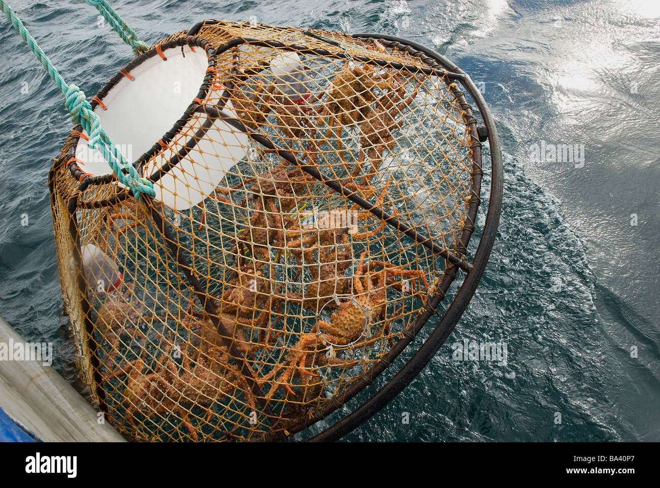 Crab pot is hauled up over the side of the boat during the commercial Brown Crab fishing season in Icy Strait, Alaska Stock Photo