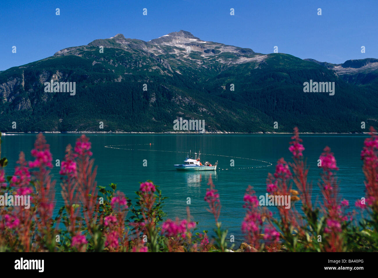 Commercial salmon fishing gillnet boat hi-res stock photography and ...