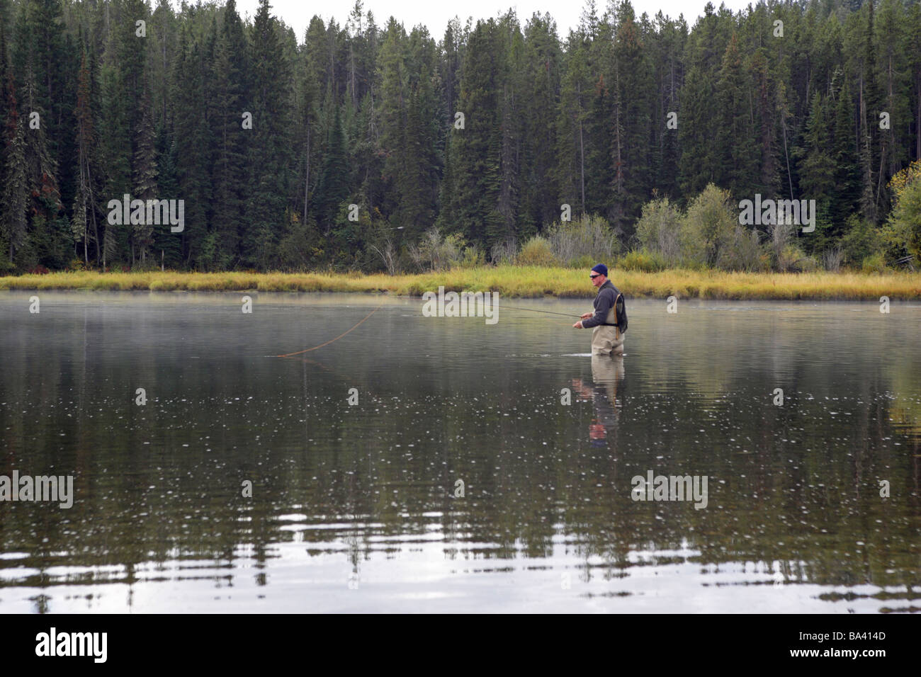 Fisherman fly fishing in the Snake river in the mist in the Grand Teton National Park North America Stock Photo