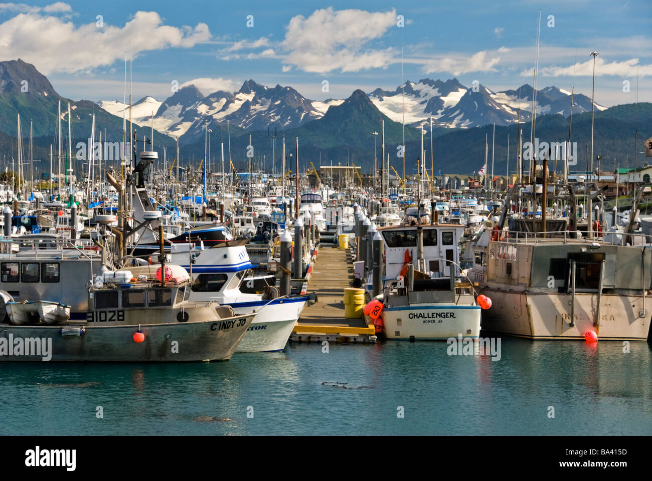 Homer Small Boat Harbor at high tide with the Kenai Mountains in the
