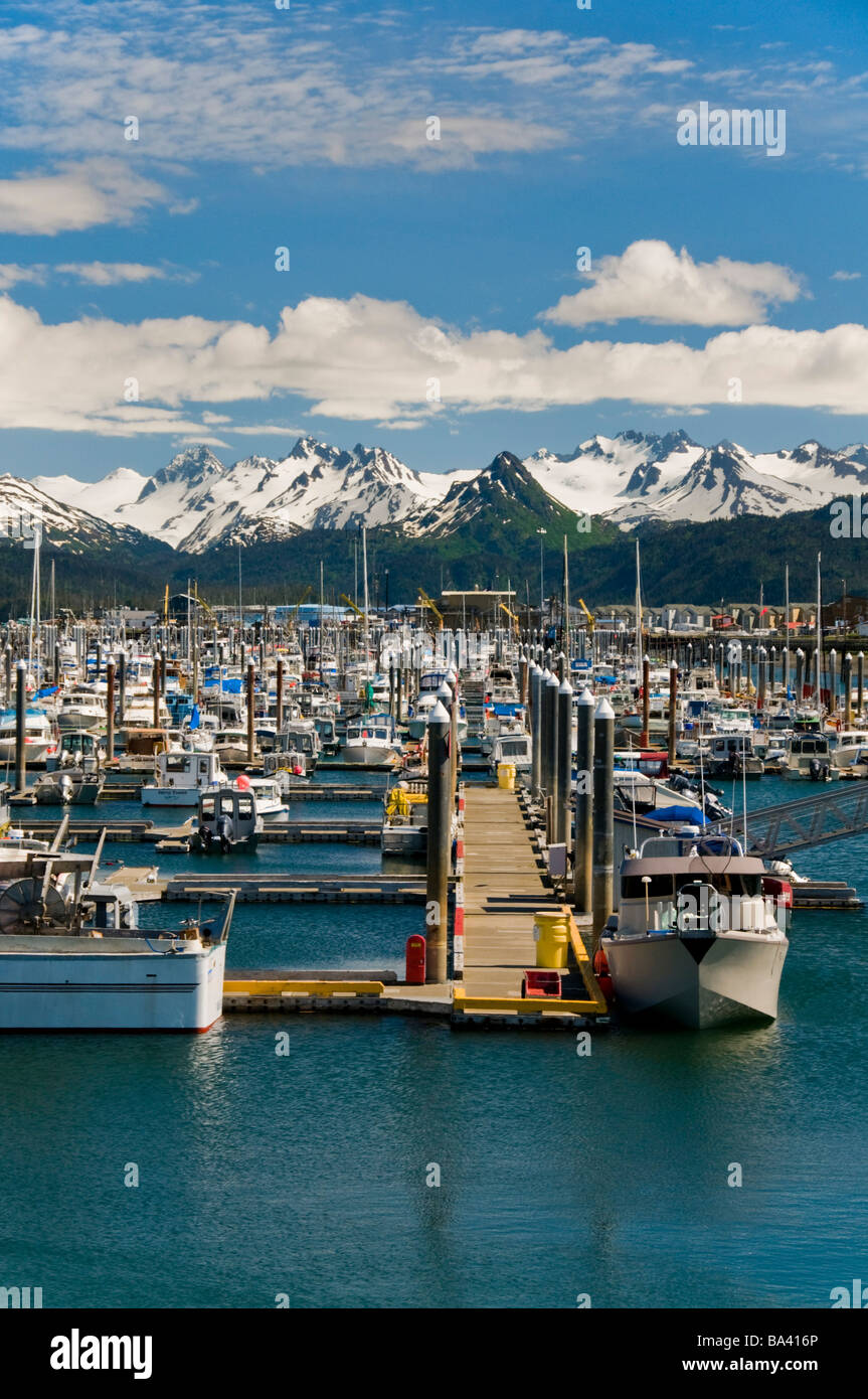 Scenic view of the Homer Small Boat Harbor with the Kenai Mountains in the background