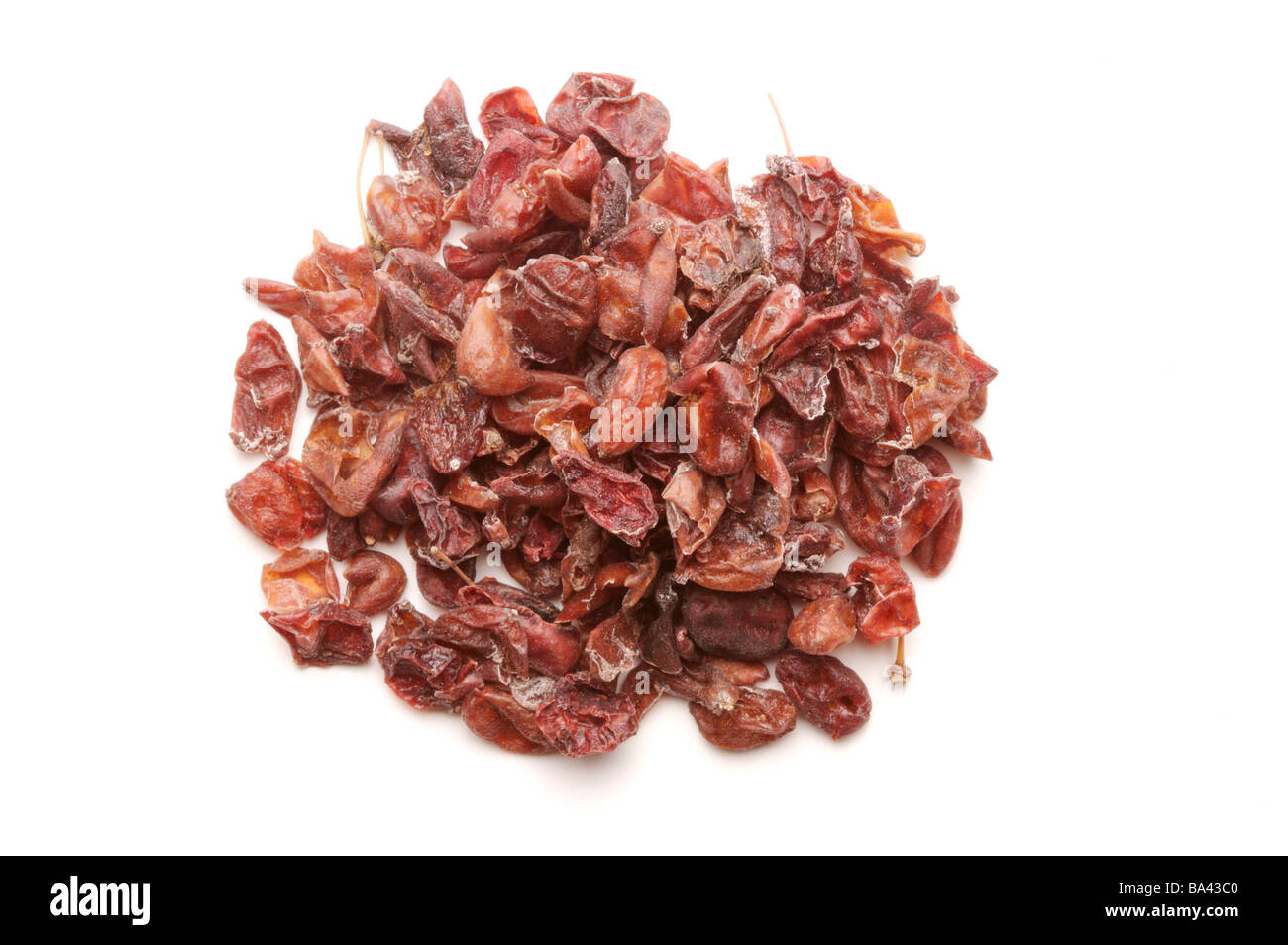 Asiatic Cornelian Cherry Fruit Stock Photo