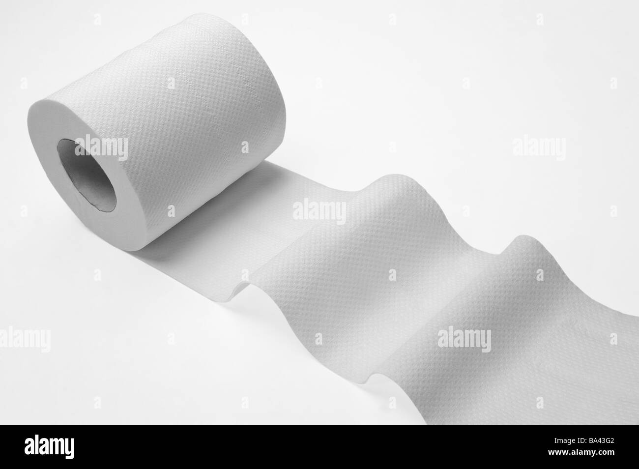 Close up of a roll of toilet paper Stock Photo Alamy