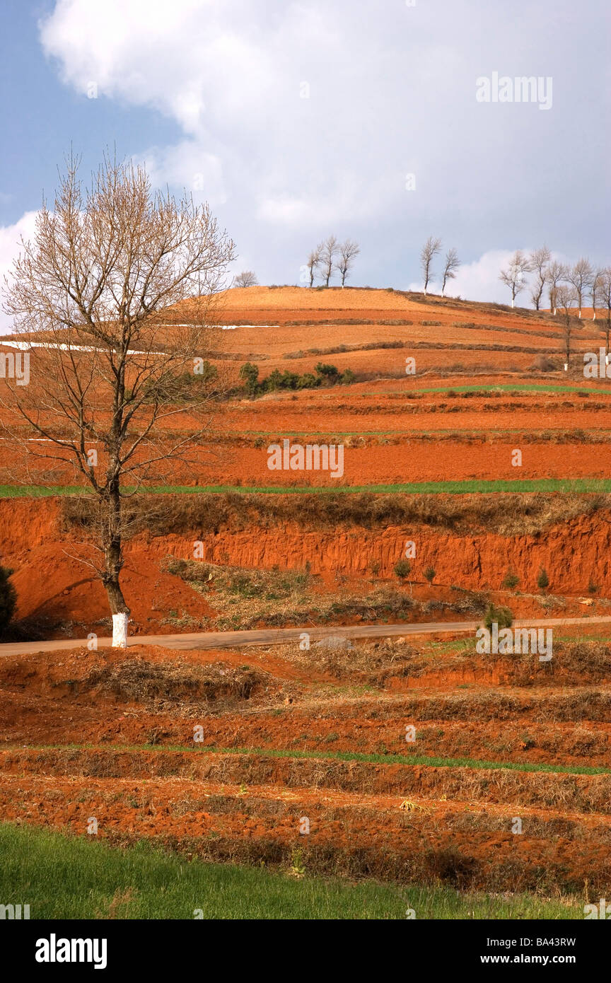 China Yunnan Province Dongchuan Red Land Stock Photo Alamy