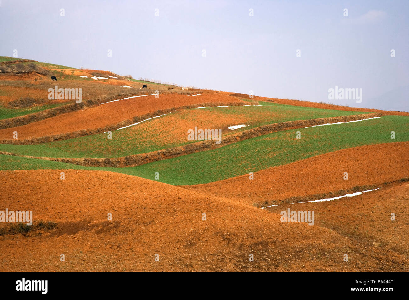 China Yunnan Province Dongchuan Red Land Stock Photo Alamy