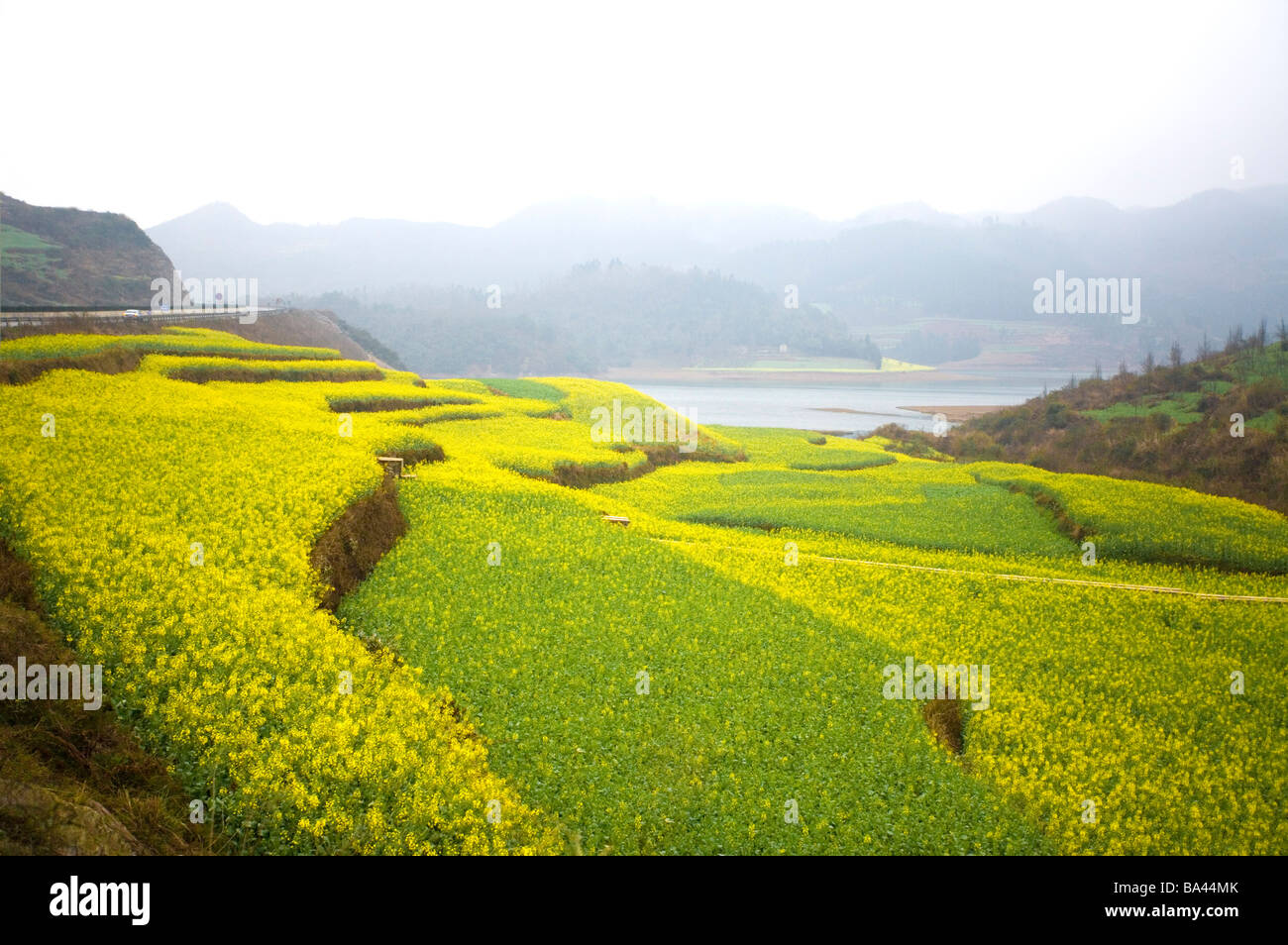 China Yunnan Province Luoping County Terraced Field Stock Photo