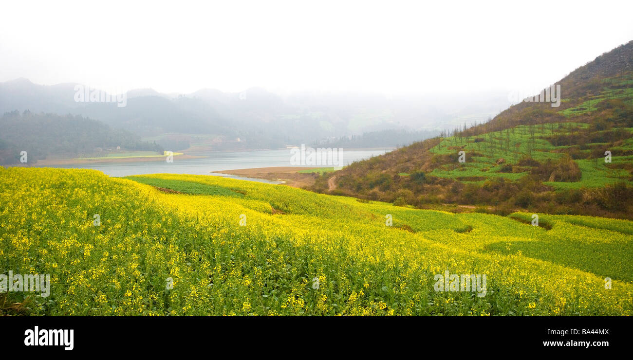 China Yunnan Province Luoping County Scenery Stock Photo