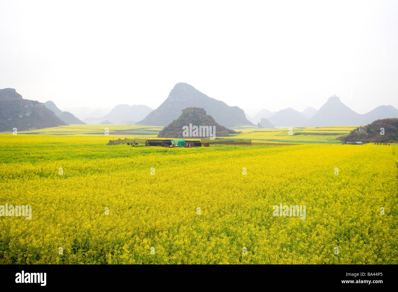 China Yunnan Province Luoping County Scenery Stock Photo