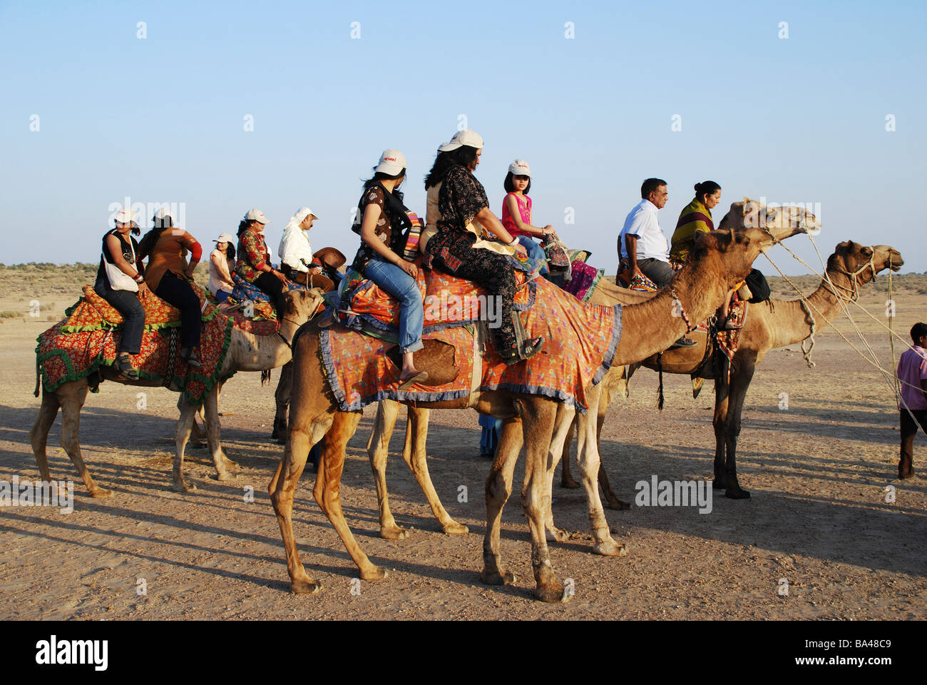 Indian tourists riding camels hi-res stock photography and images - Alamy