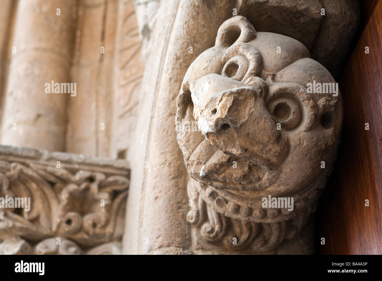 Romanesque carving of mythological animal head San Isidoro basilica town of Leon autonomous community of Castilla y Leon Stock Photo