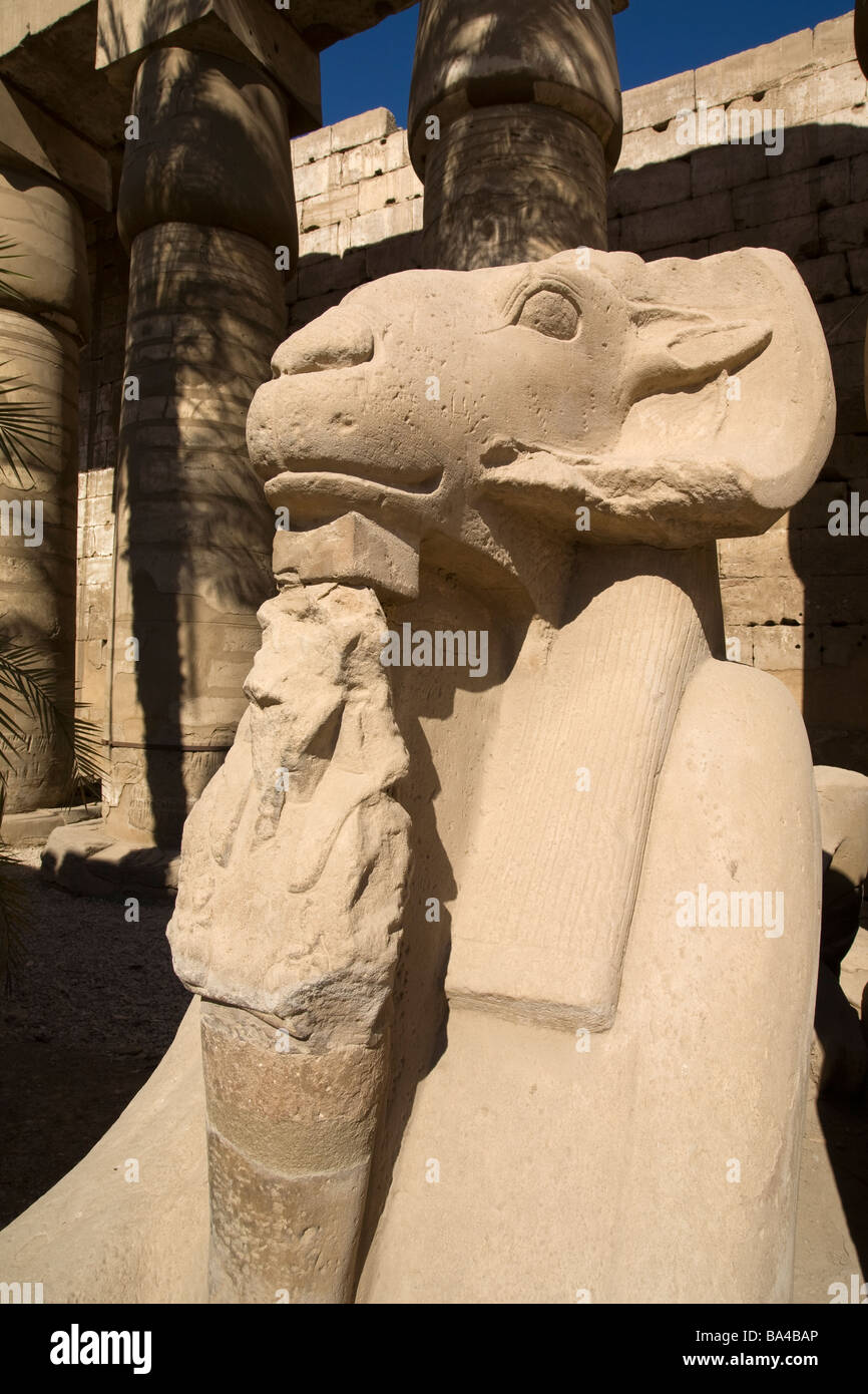 Ram headed sphinx, Karnak Temple, Luxor, Egypt Stock Photo