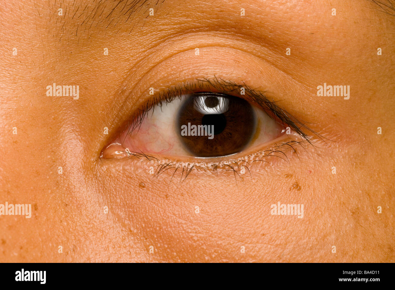 Black or dark brown eye Stock Photo