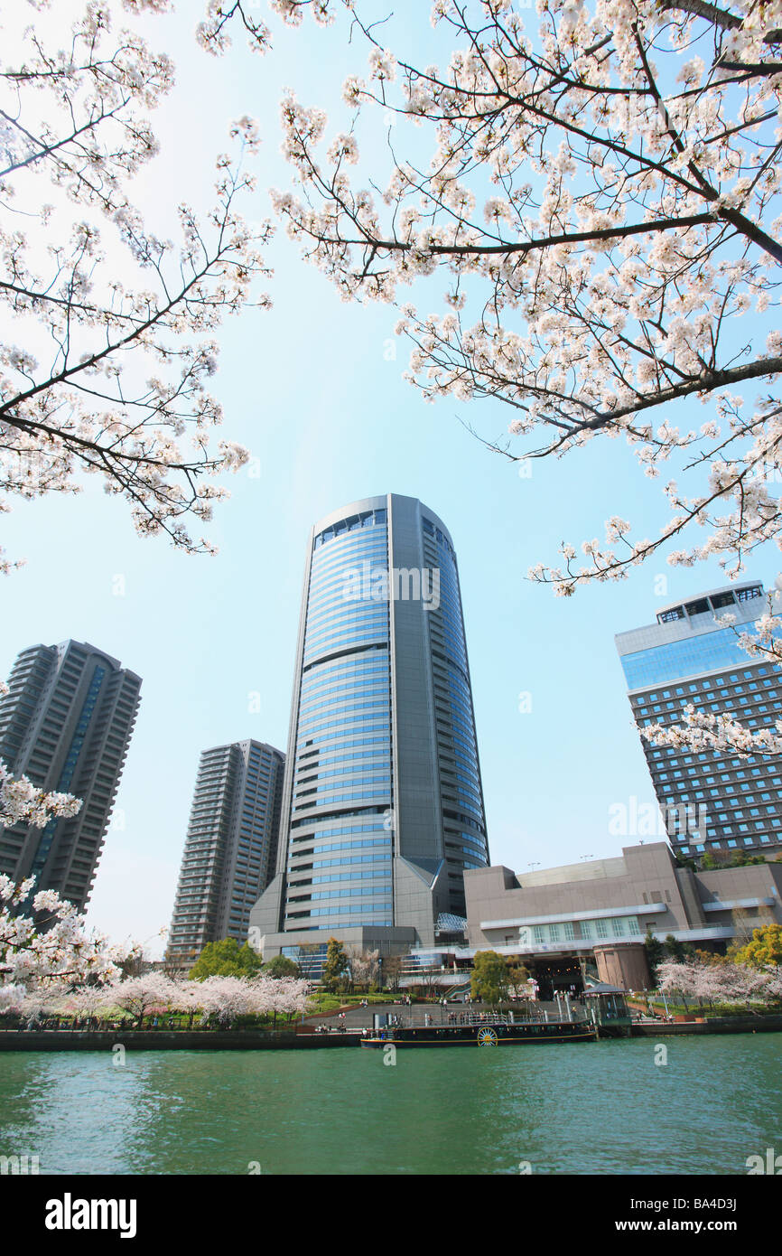 Okawa, Cherry Blossom Spring Amenity Park Osaka  in Japan Stock Photo