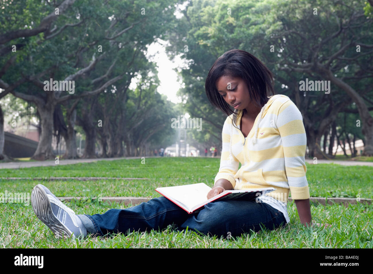 Young Woman Sitting In Park Reading A Text Book Stock Photo