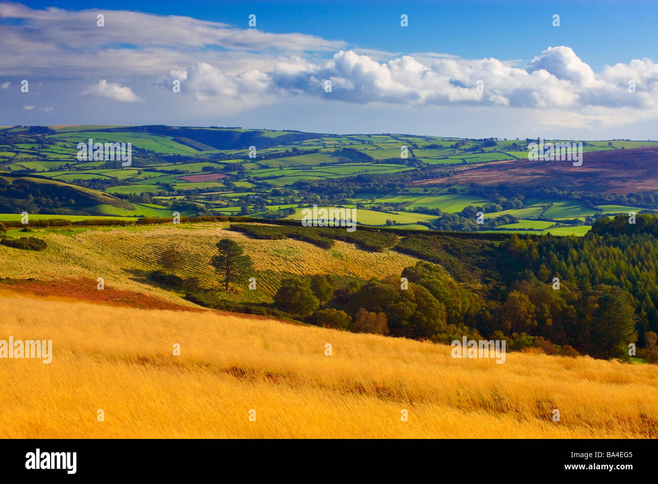View over Exmoor Exmoor National Park Somerset England Stock Photo Alamy