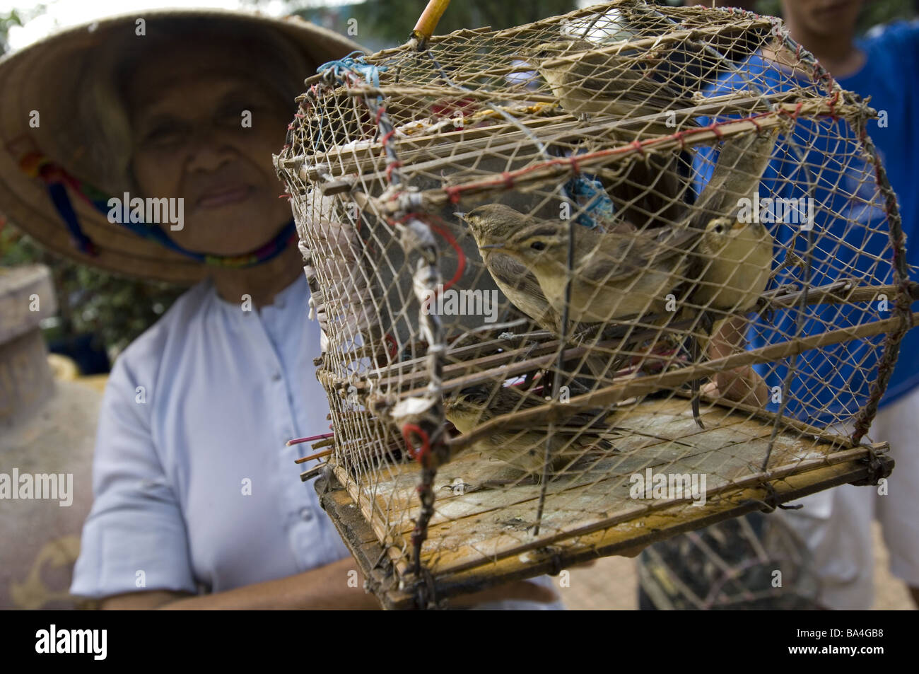 Vietnam Mekong-Delta bird-sales associate broached no models southeast-Asia Asian Vietnamese woman release Asia senior sales Stock Photo