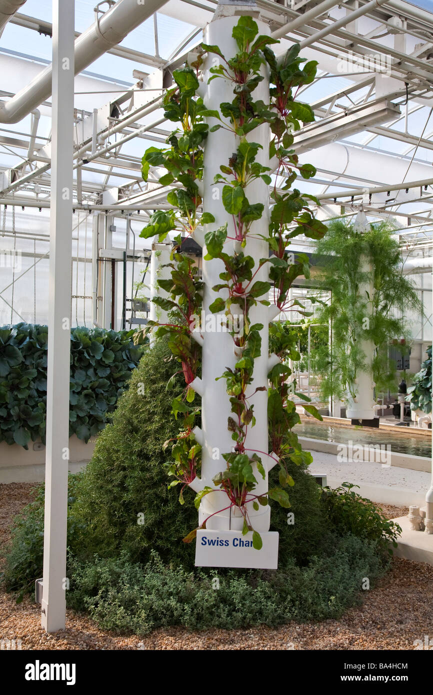 Hydroponic greenhouse in Orlando, Florida,USA Stock Photo Alamy