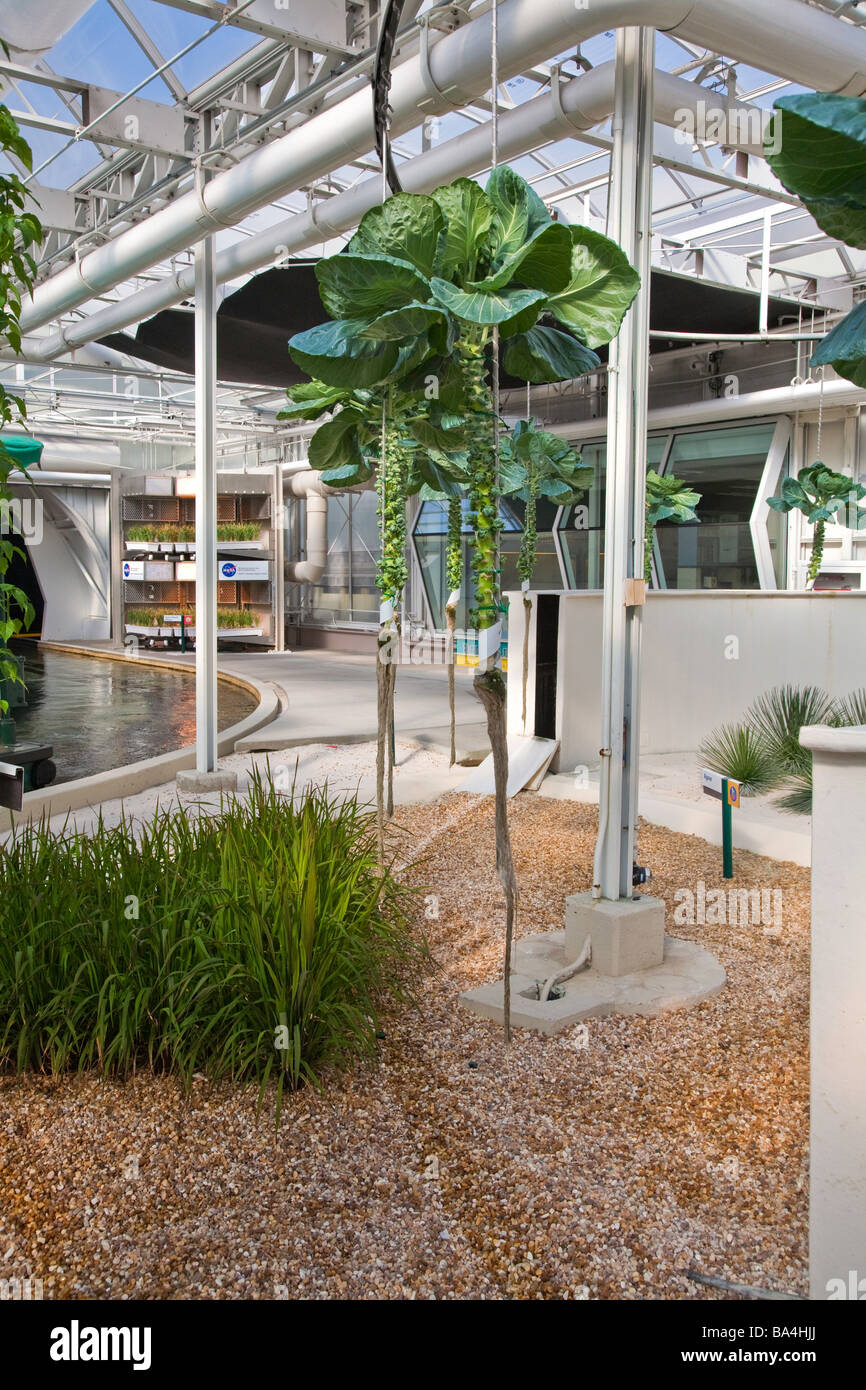 Hydroponic greenhouse in Orlando, Florida,USA Stock Photo Alamy