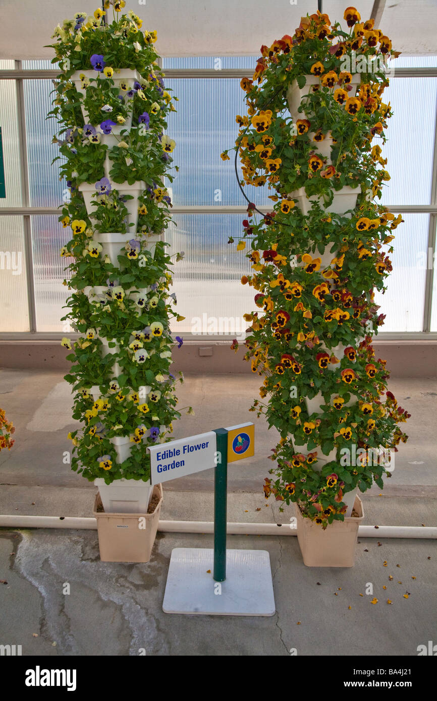 Hydroponic greenhouse in Orlando, Florida,USA Stock Photo Alamy