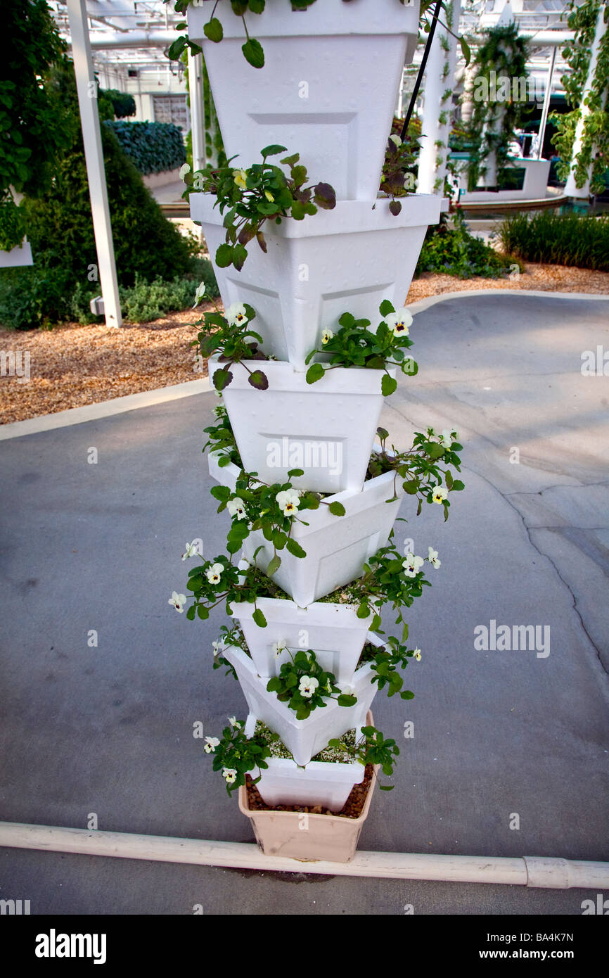 Hydroponic plants in indoor Greenhouse Stock Photo Alamy