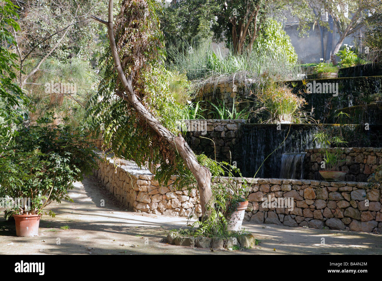 Botanical Garden, Cagliari, Sardinia, Italy Stock Photo Alamy