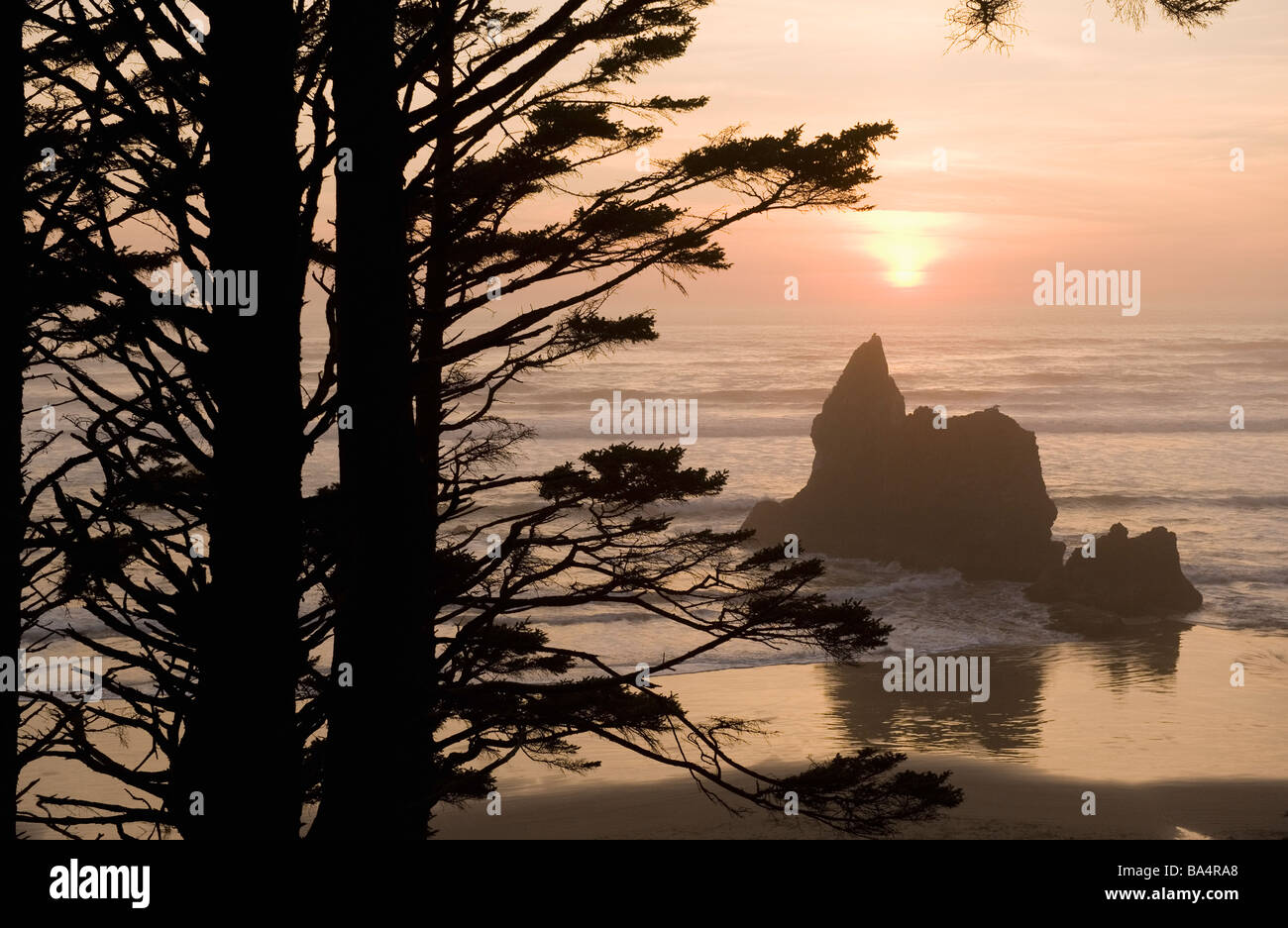 Sunset and seastack, Arch Cape, Oregon Coast, Sunset Stock Photo