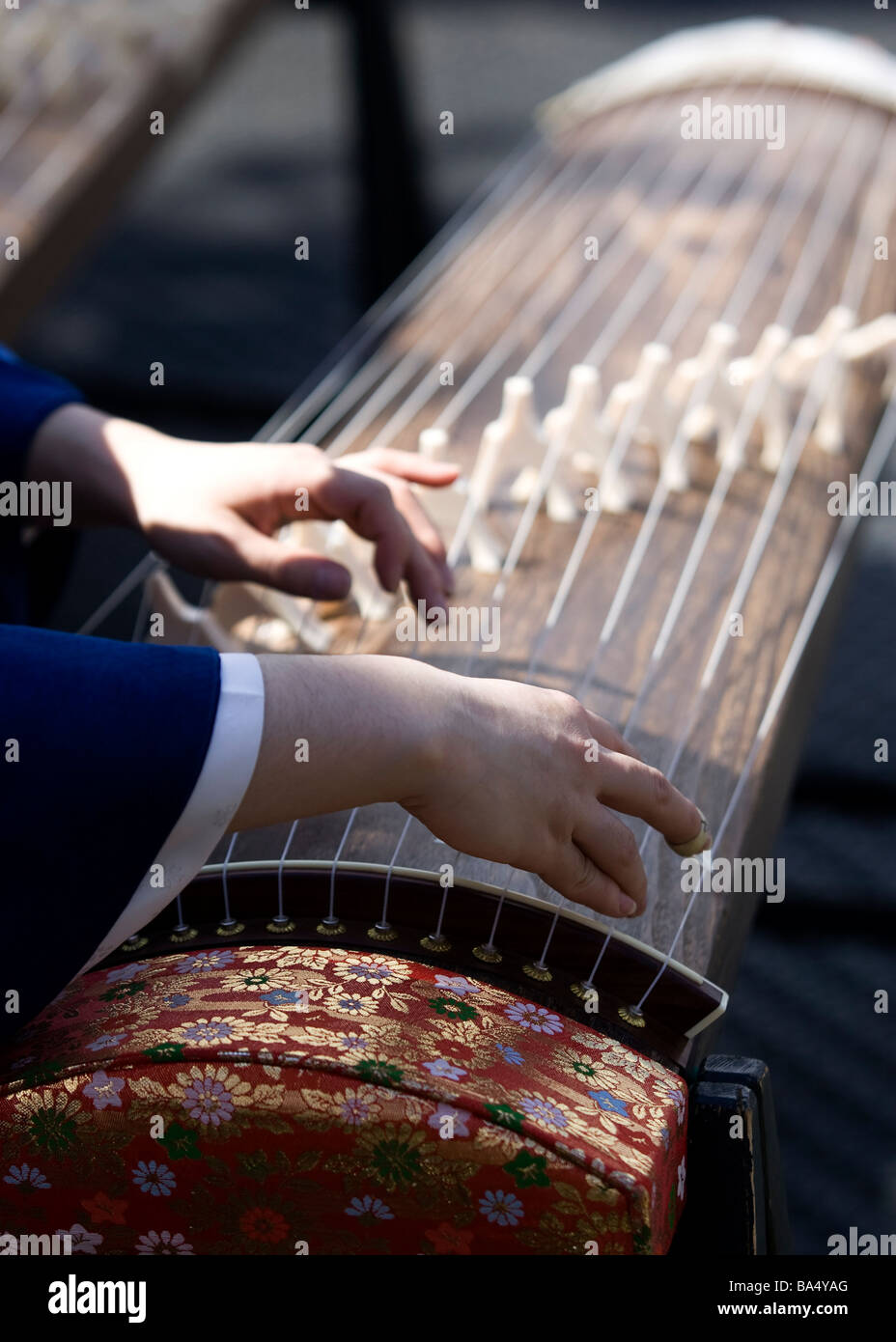 Traditional koto hi-res stock photography and images - Alamy