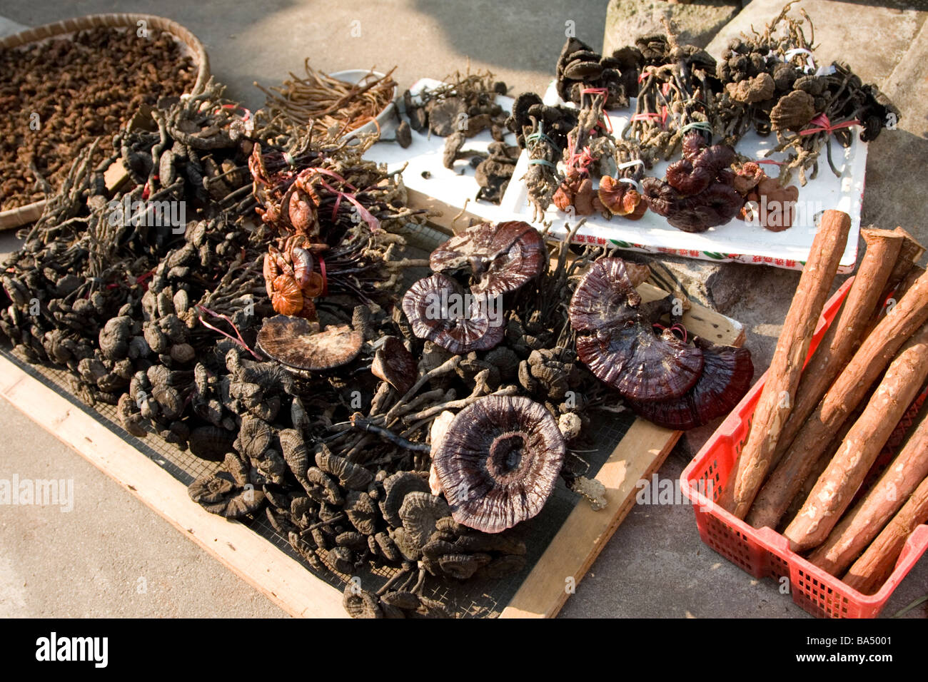 Dried mushrooms and medicinal herbs at a market in Guangdong in China