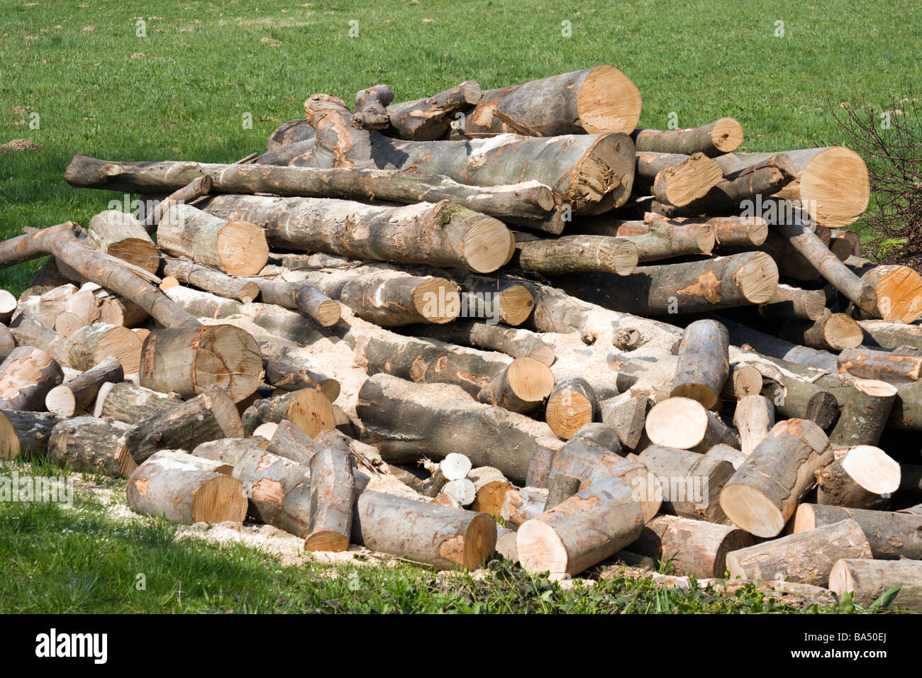 Cutted wood for the fire. Stock Photo