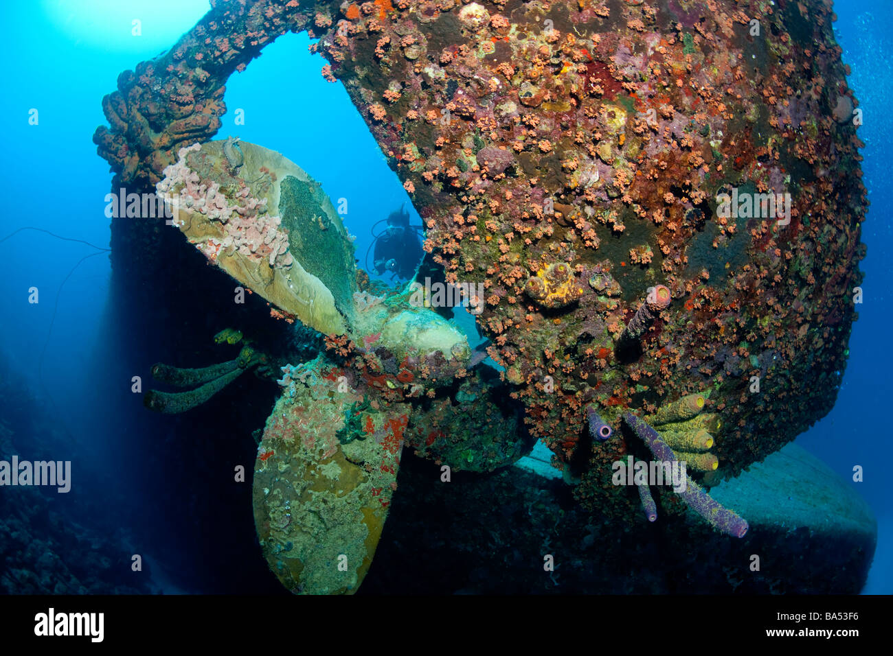 Scuba diver shown near the propeller of the Hilma Hooker shipwreck ...