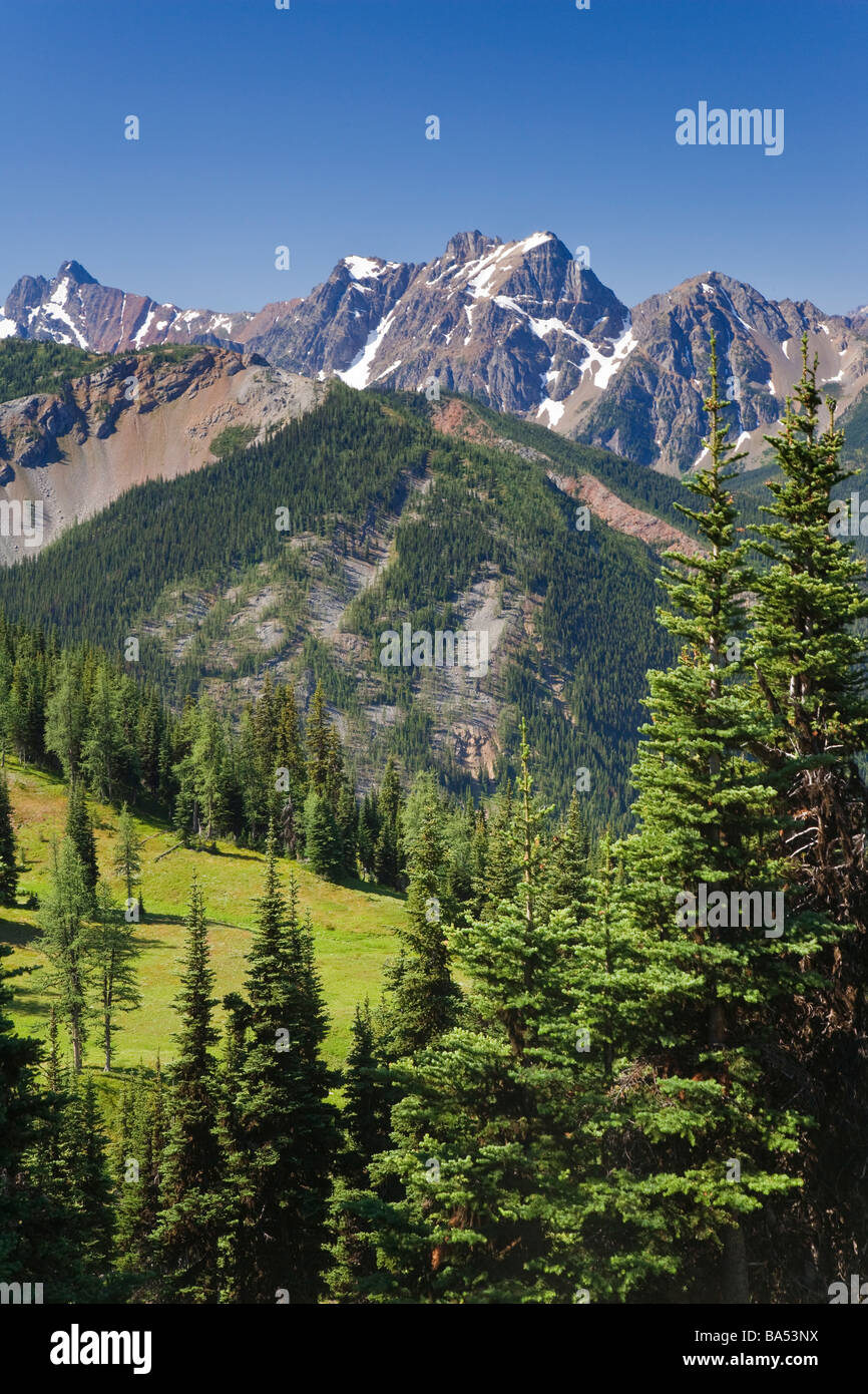 USA, Washington, Mount Baker Snoqualmie National Forest, Harts Pass Stock Photo