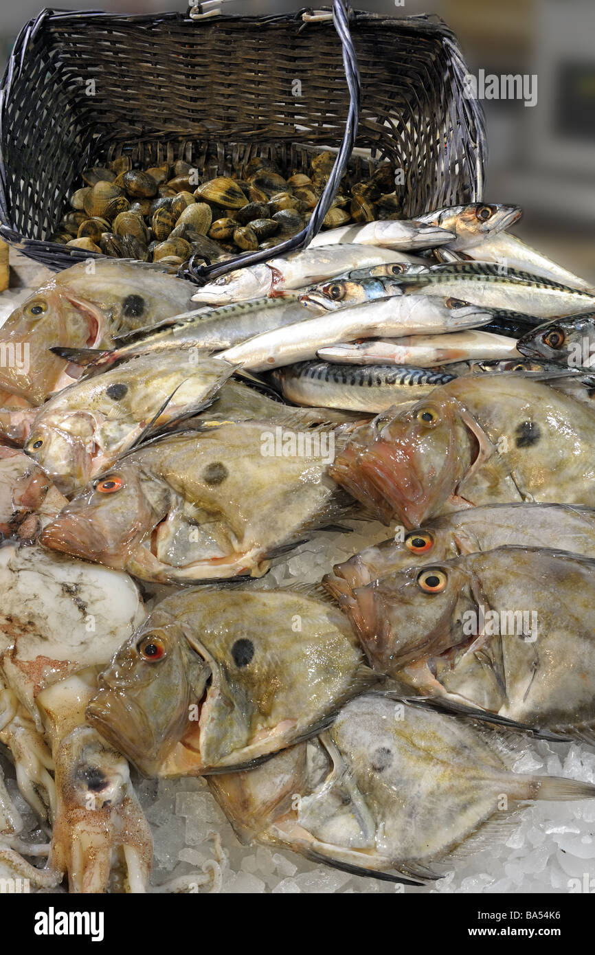John Dory on a fishmongers slab Also on display are mackerel squid and