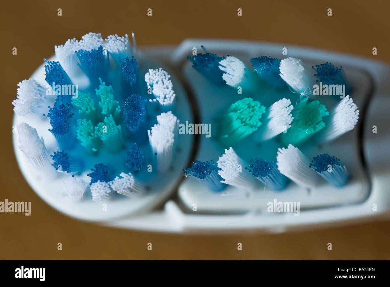 Battery operated toothbrush head Stock Photo Alamy