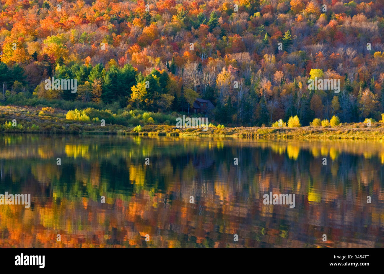 Blueberry lake fall season Vermont Stock Photo Alamy