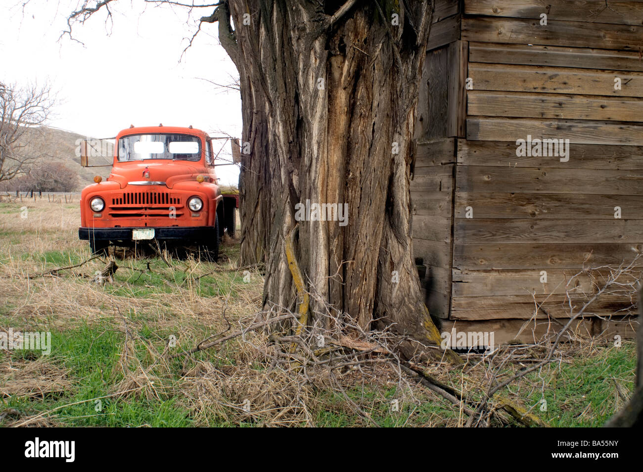 International harvester Truck on Abandoned Farm Stock Photo