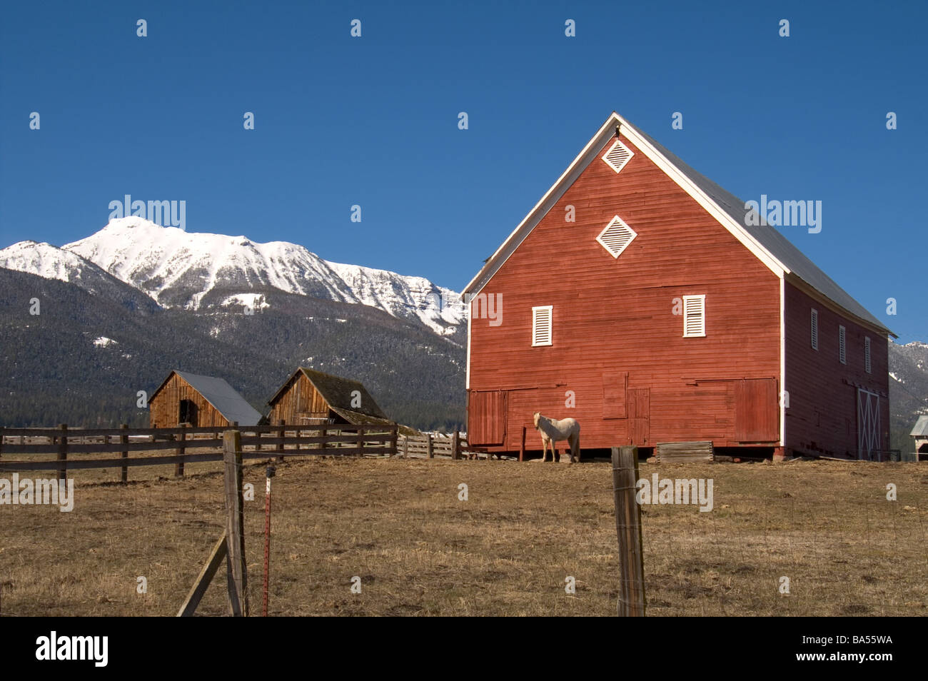 Red Barn in Field on Farm or Ranch at the base of the Wallowa mountians Stock Photo
