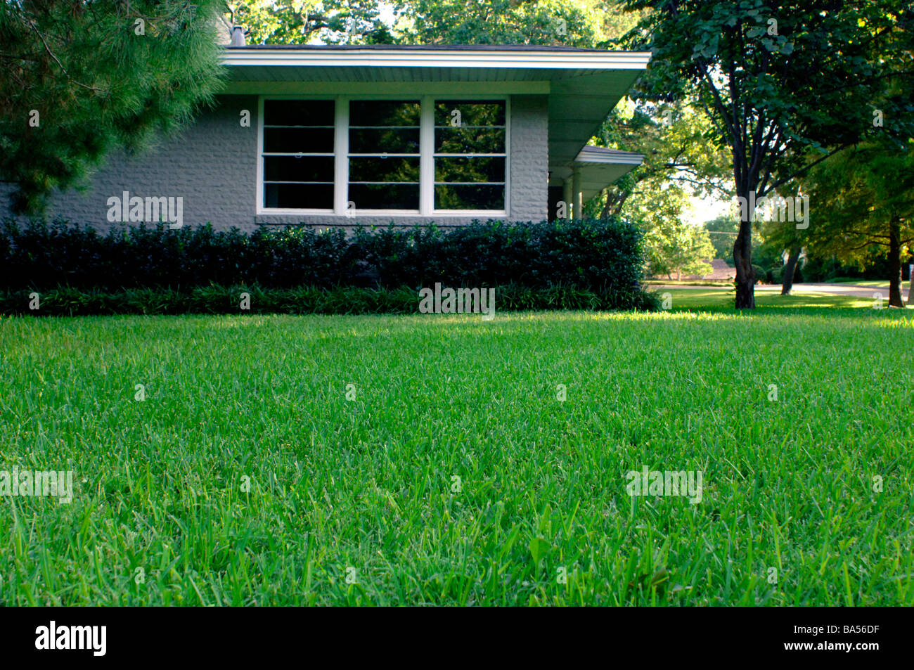 Green well watered lawn depicting water usage which accounts for 30% of total water usage in many US cities Stock Photo