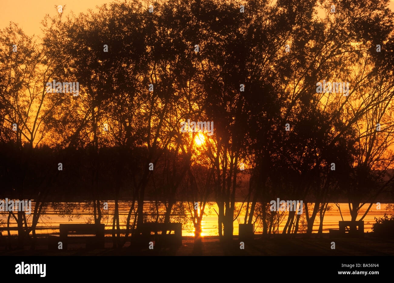 Deep golden glow hi-res stock photography and images - Alamy