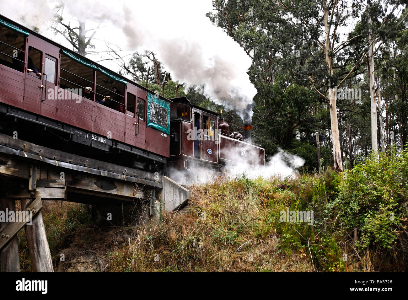 Puffing Billy train crossing the Trestle Bridge built in 1899 The Dandenong Ranges Victoria