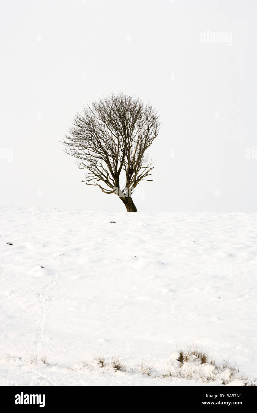 Snow in winter near Grinton Swaledale Stock Photo - Alamy