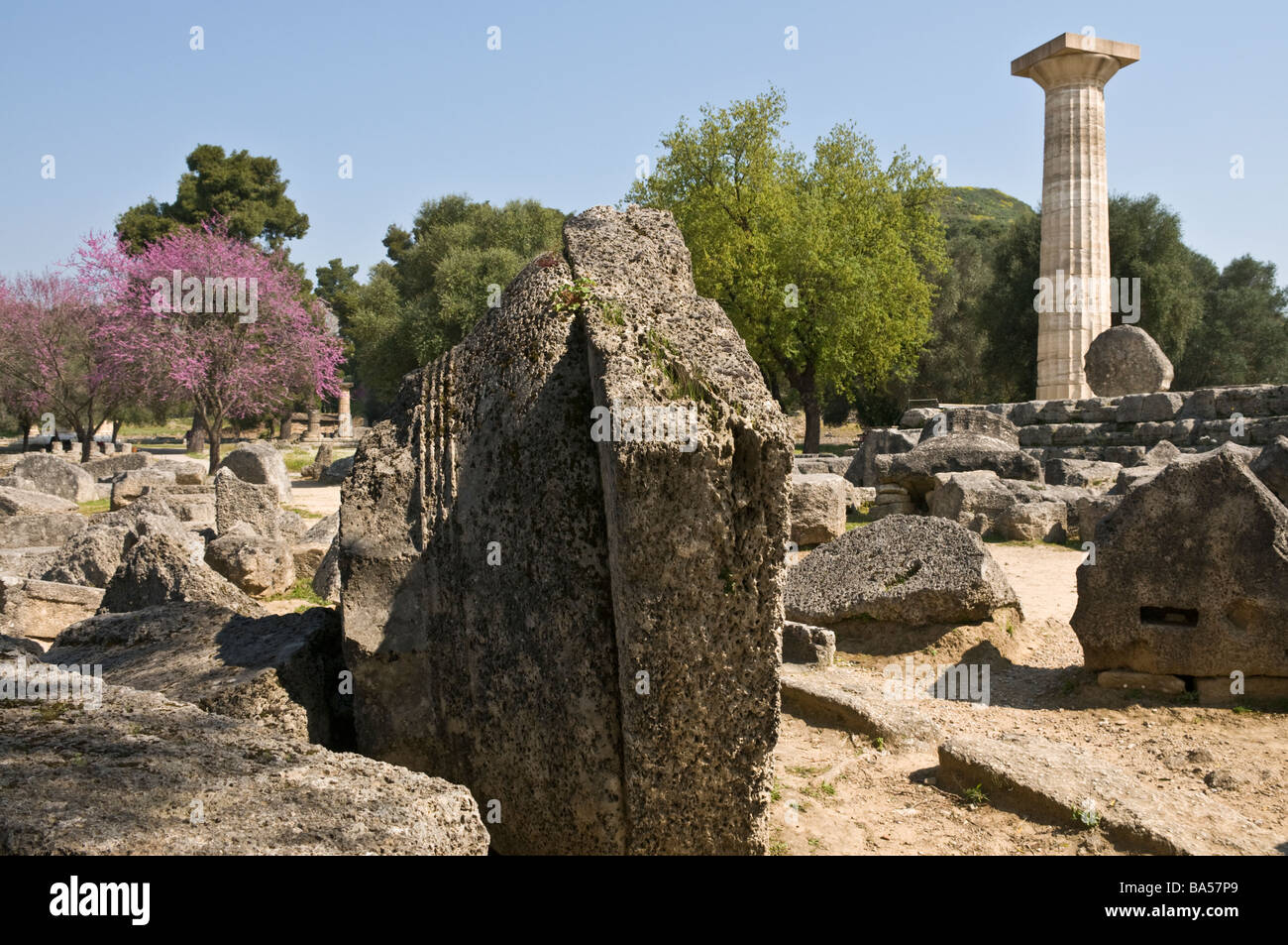 A re erected doric column an similar fallen capitals and column drums at the Temple of Zeus, ancient Olympia, Peloponnese Greece Stock Photo
