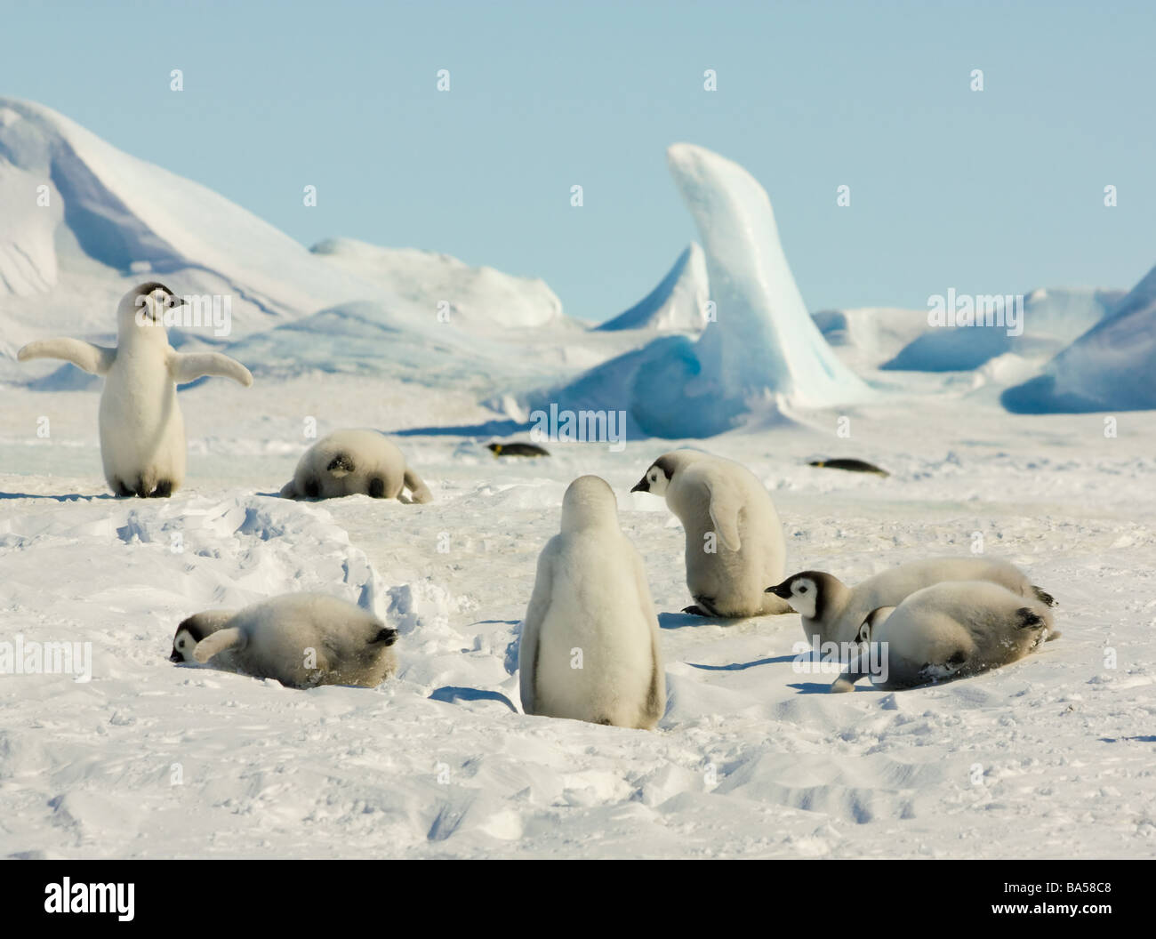 Cute Hi Res Stock Photography And Images Alamy