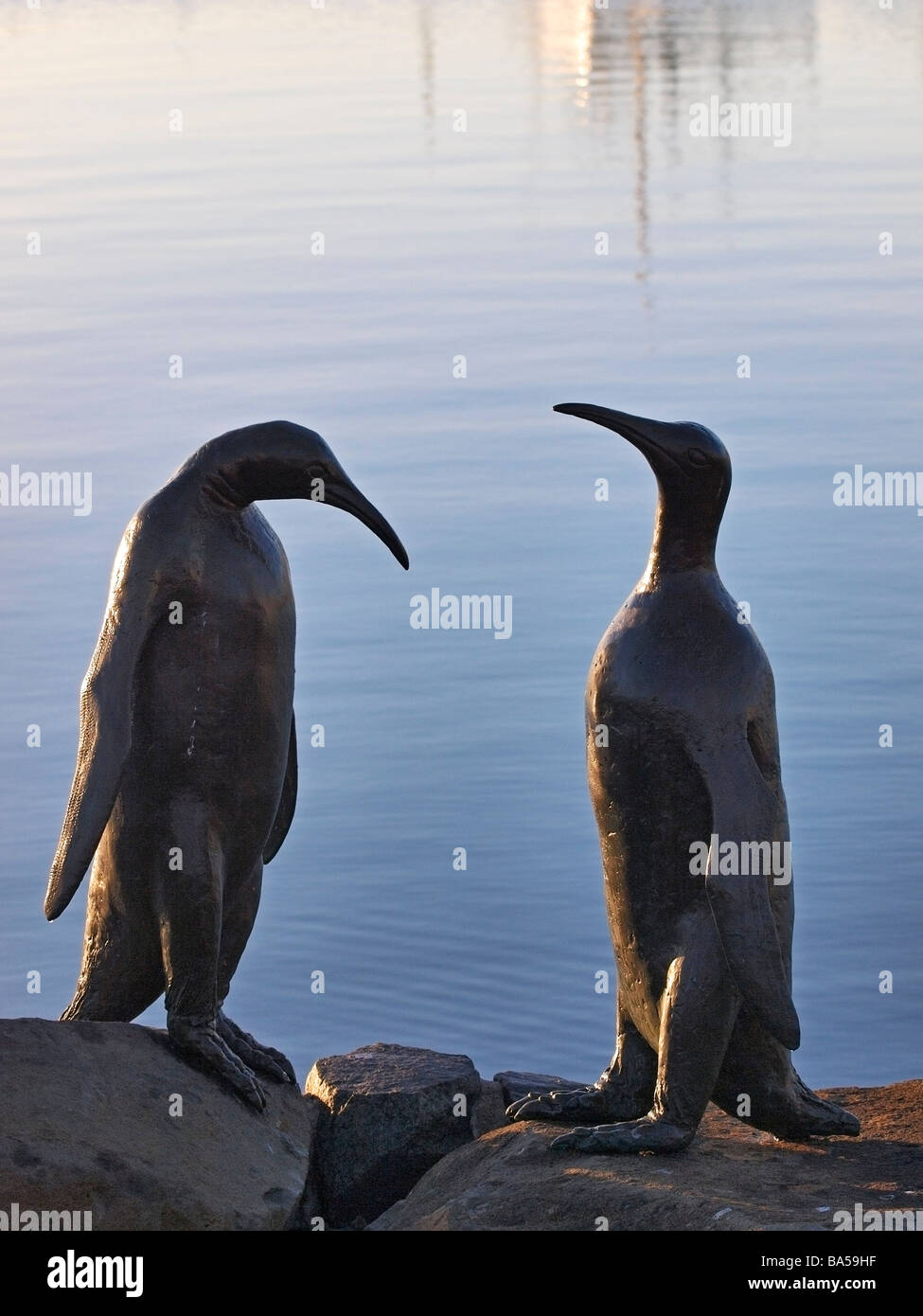PENGUIN SCULPTURE HOBART TASMANIA Stock Photo Alamy