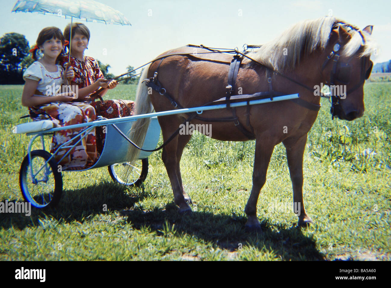 Two wheel pony drawn cart hi-res stock photography and images - Alamy