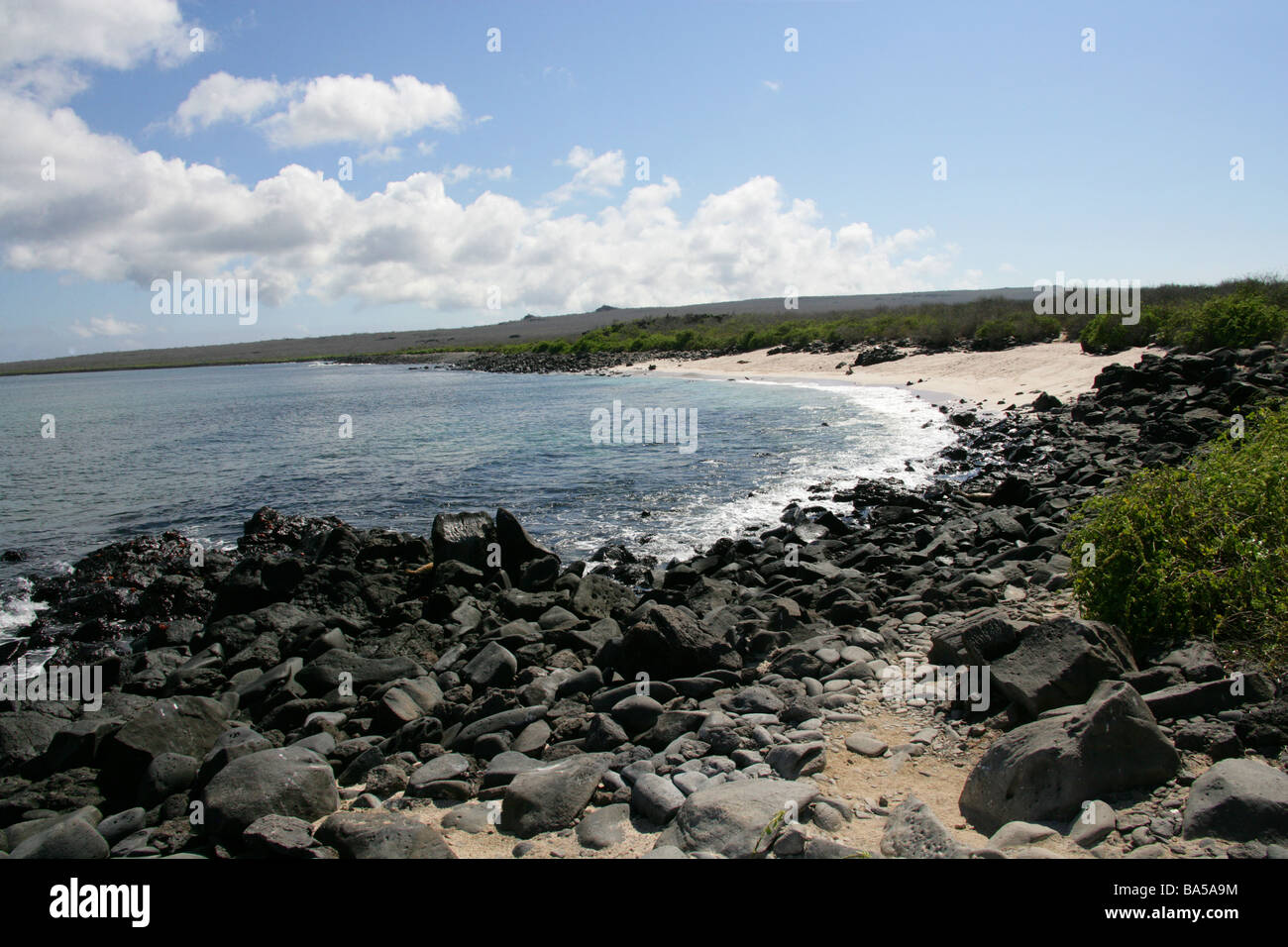 Punta Suarez Beach, Espanola Island, Galapagos Islands, Ecuador, South America Stock Photo